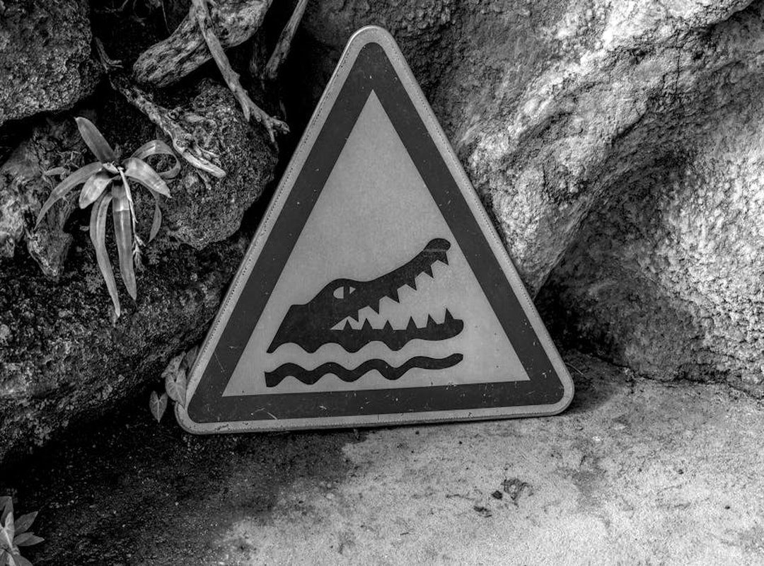 Can Too Much Gaming Overdertoza Cause Anxiety