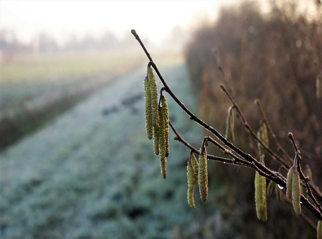 Thehaketech Gaming Updates by Thehake